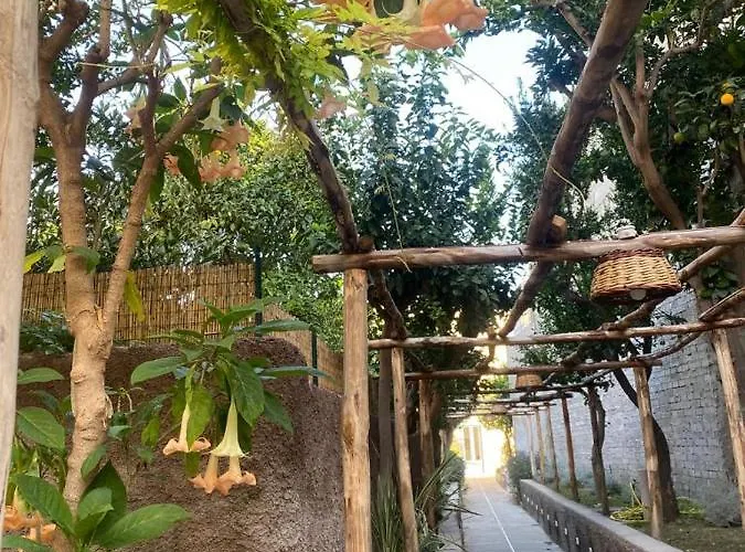 Frühstückspension Palazzo Bonaventura 1906